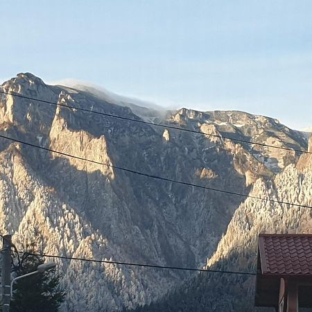 Mountain Break Azuga Ski Екстер'єр фото