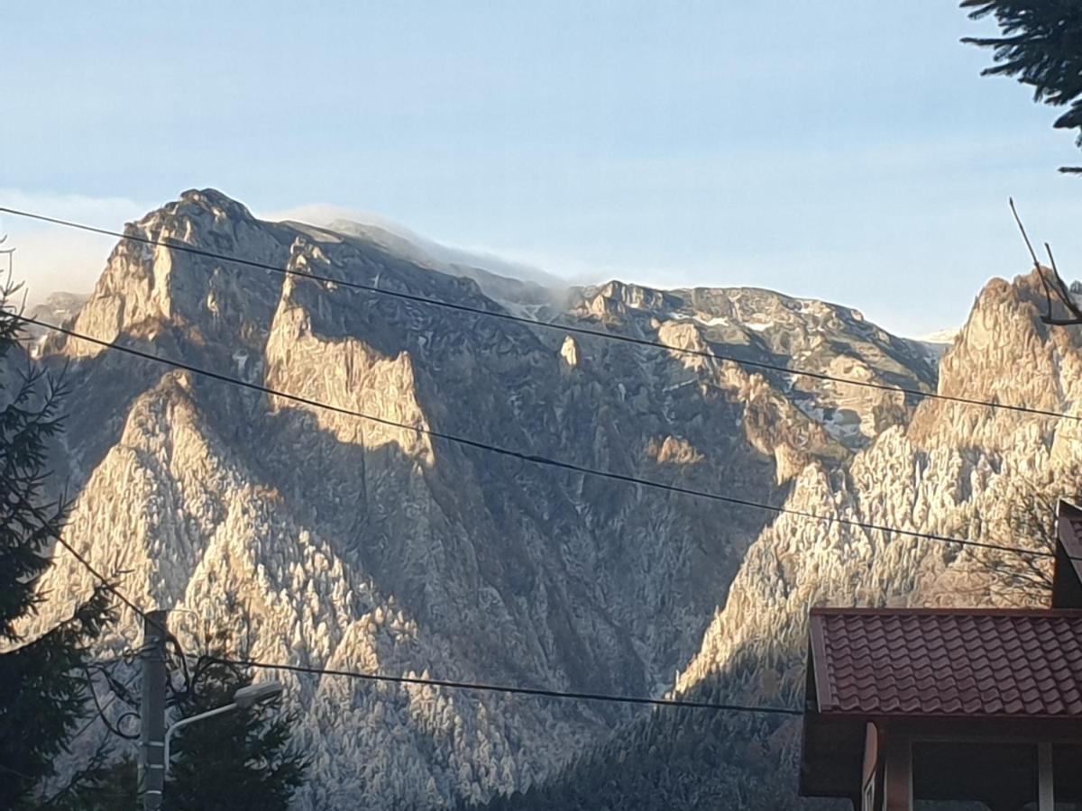 Mountain Break Azuga Ski Екстер'єр фото